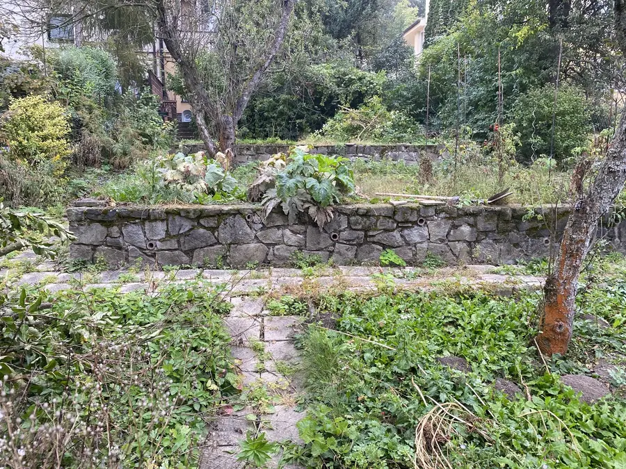 Vyčištění svažitého pozemku a demolice přístavku, Brno: stav před zahájením prací