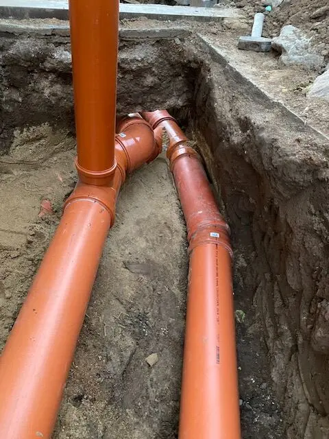 Dvě větve v rýze, Nová Ves